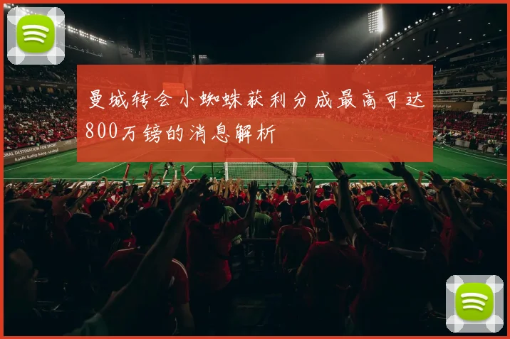 曼城转会小蜘蛛获利分成最高可达800万镑的消息解析